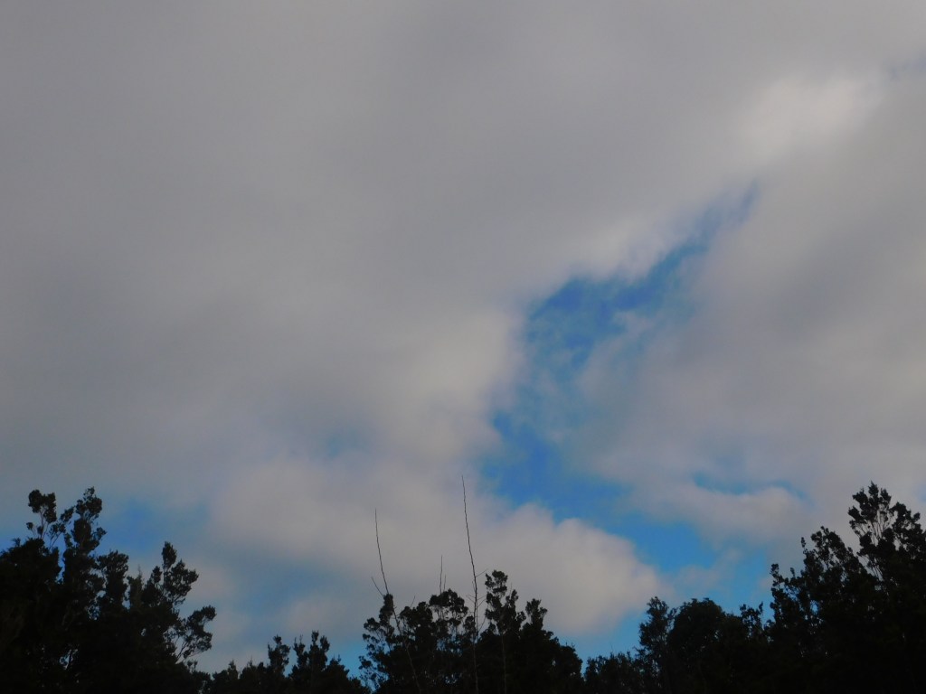 Un cielo nublado con pequeños resquicios de un azul pálido.